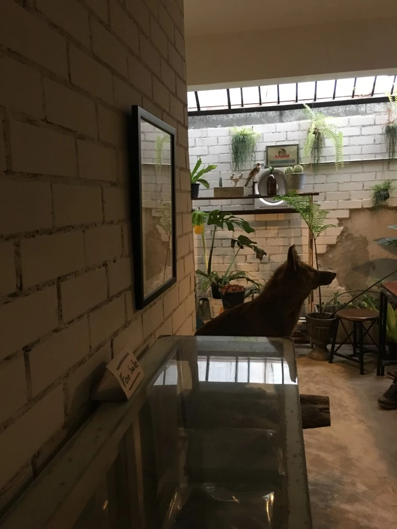 IMG_7436.JPG?type=w773