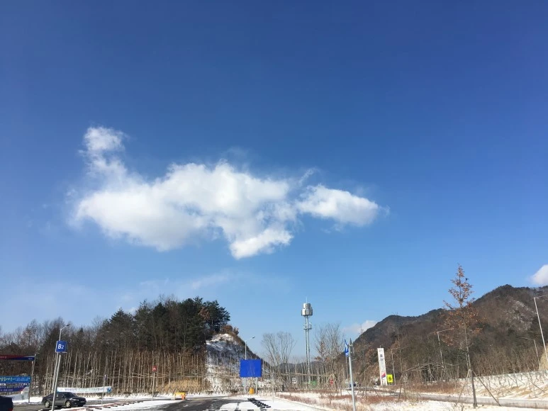 IMG_0532.JPG?type=w773