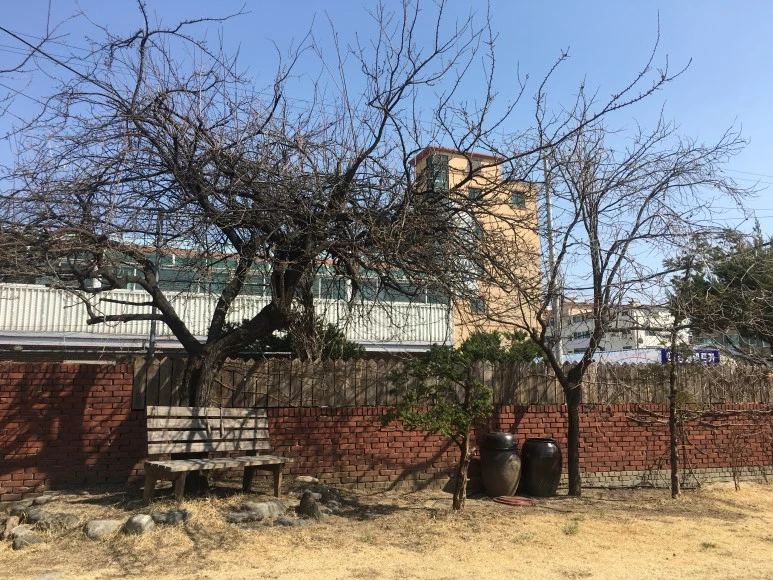 IMG_3181.JPG?type=w773