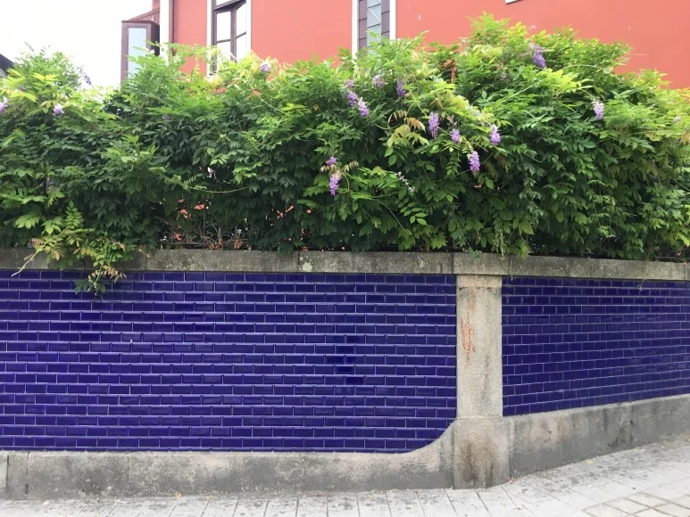 IMG_0173.JPG?type=w773