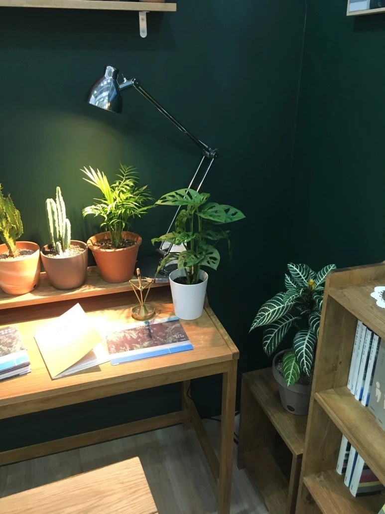 P20180622_175955088_0183635C-9866-4498-A343-1F170916D144.JPG?type=w773