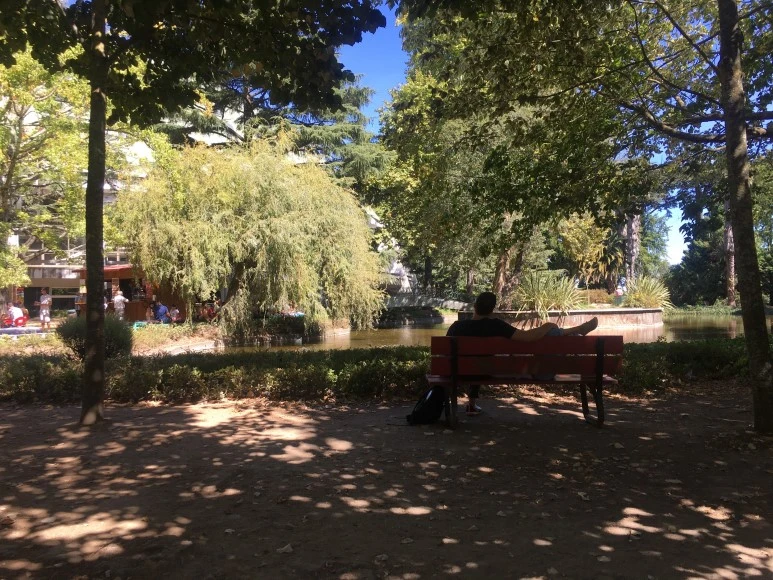 IMG_0652.JPG?type=w773