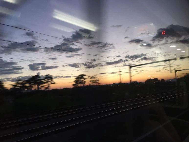 P20180729_195802753_9B0B4948-3FFD-4390-9FC6-7C724C688D73.JPG?type=w773