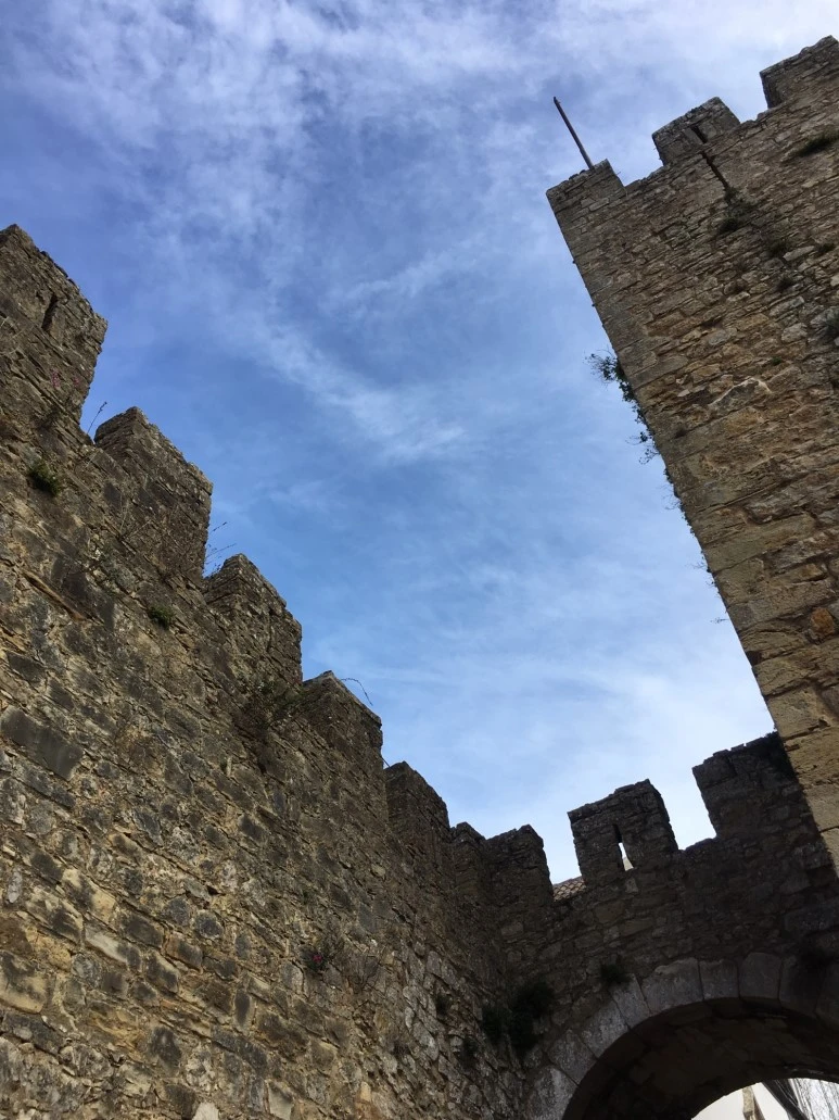 P20190201_123923849_3B67DED7-2C90-418E-82B5-9D3AF6AA4FE3.JPG?type=w773