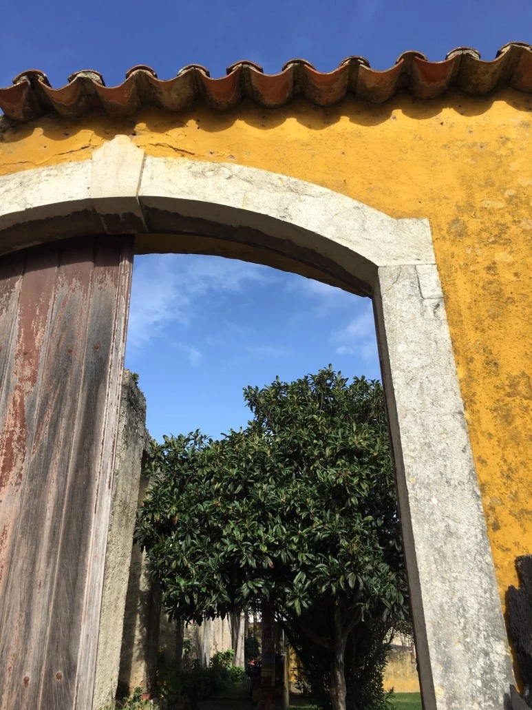 P20190201_110624072_747C87B2-A2F8-4AF9-AEBB-2394F0BC9CE6.JPG?type=w773