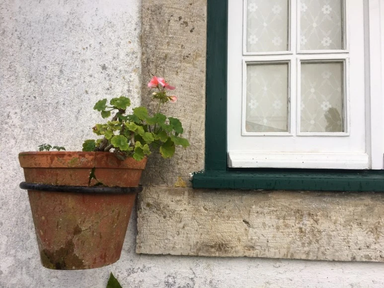 P20190201_115711226_6A1C5A02-4C1D-4A07-A924-702796F4F633.JPG?type=w773