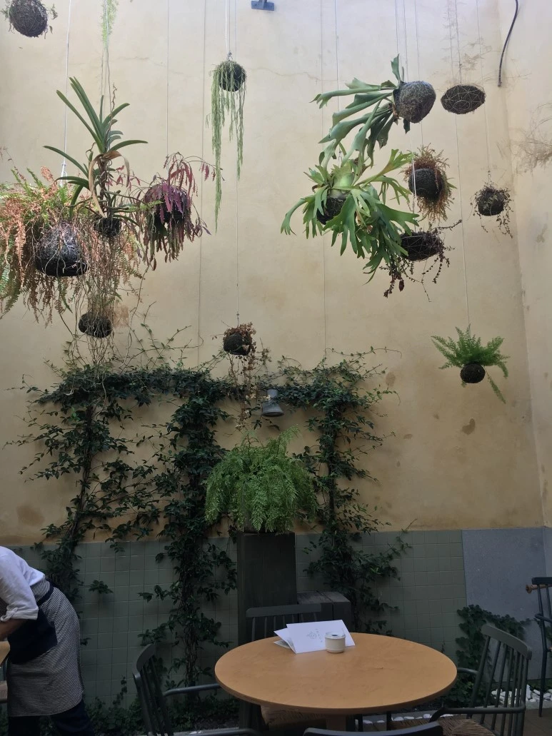 IMG_0700.JPG?type=w773