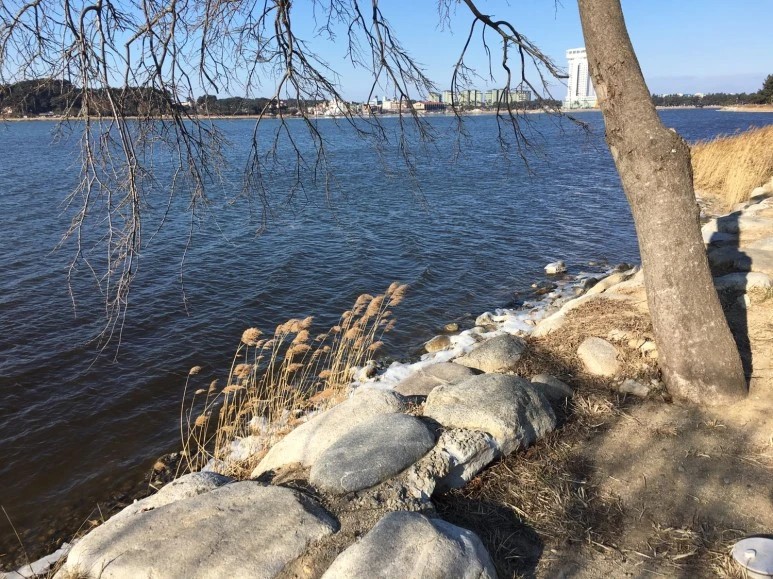 P20180111_142232524_B20AF532-E0F2-45E3-BD66-45EC78722694.JPG?type=w773