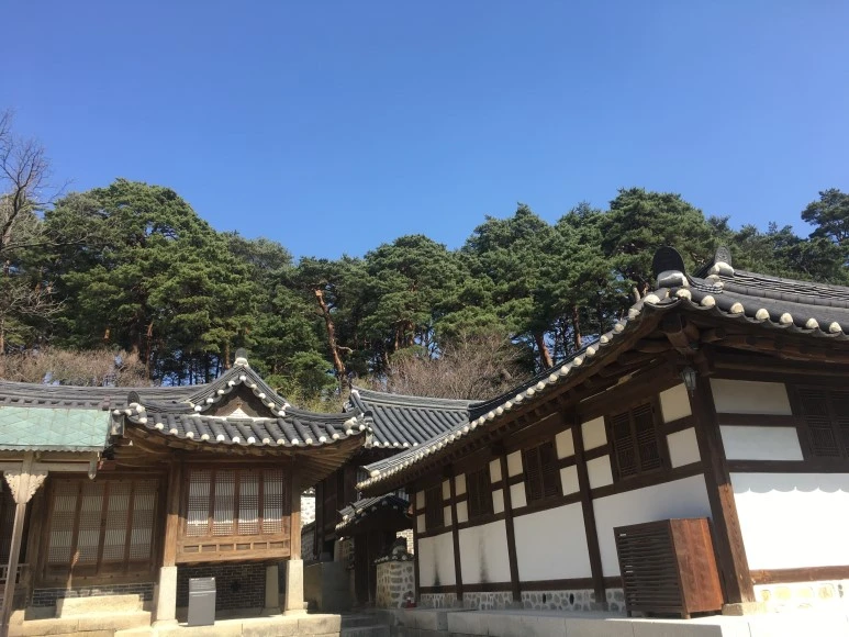 IMG_3033.JPG?type=w773