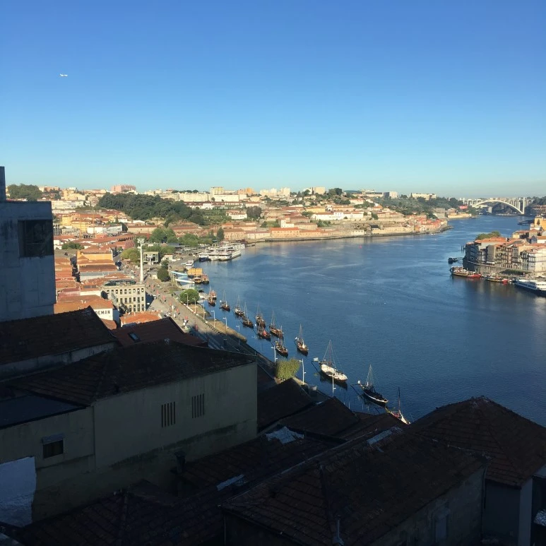 IMG_0771.JPG?type=w773