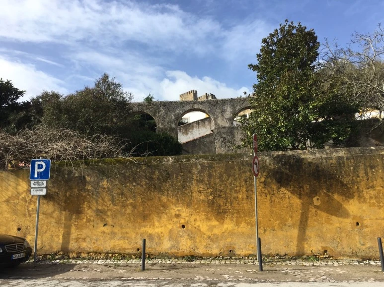 P20190201_110533152_494DBE81-D562-4574-A328-0317B1966AA0.JPG?type=w773