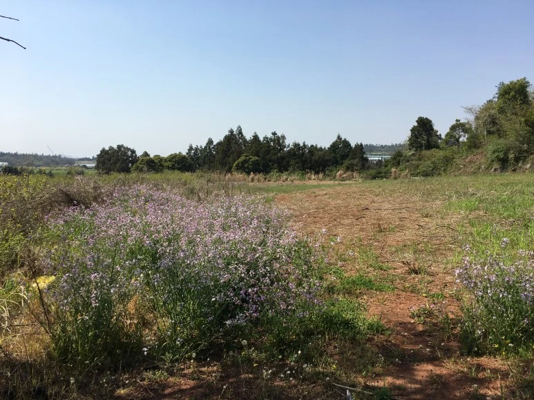 IMG_4744.JPG?type=w773