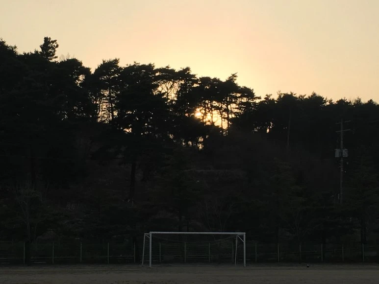 IMG_3151.JPG?type=w773