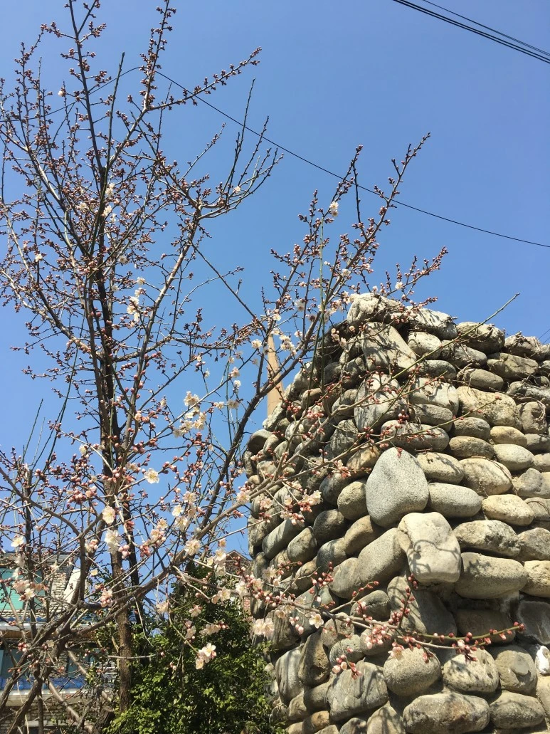 IMG_3182.JPG?type=w773