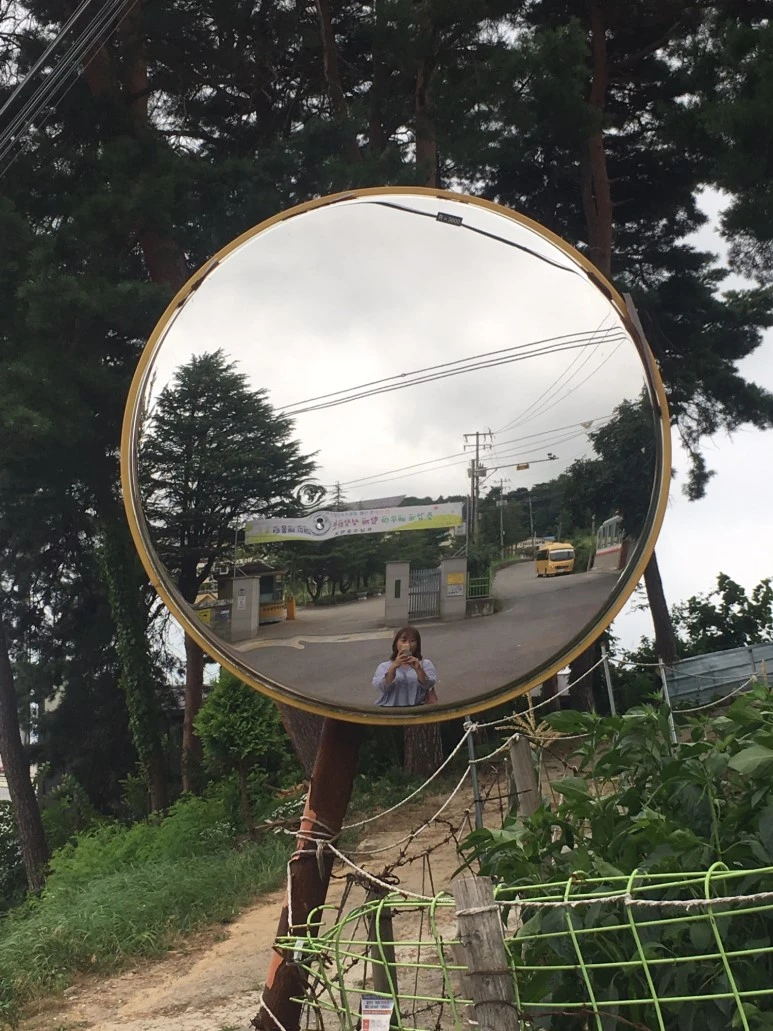 P20180729_111631927_35D8141D-A393-4124-842F-45C29CAAE8E4.JPG?type=w773