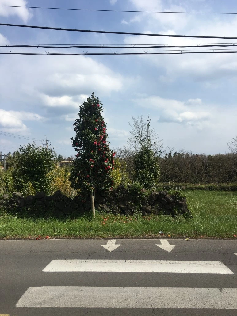 IMG_4332.JPG?type=w773