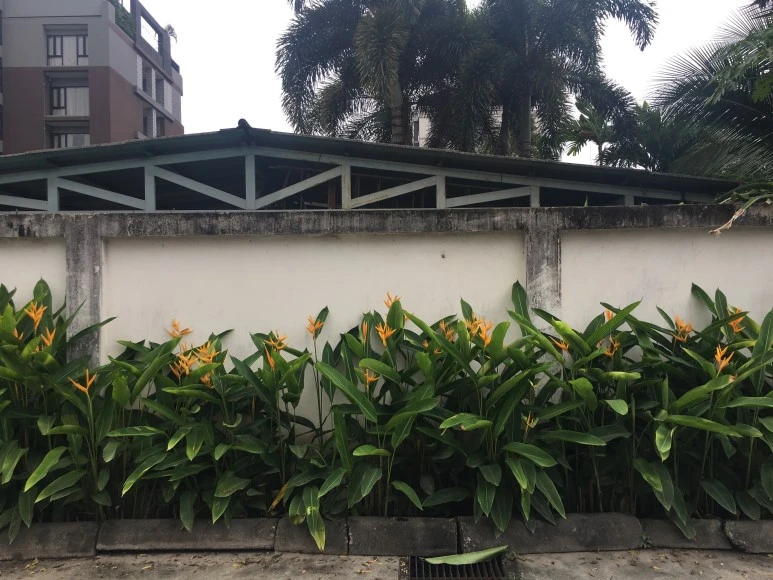 IMG_6911.JPG?type=w773