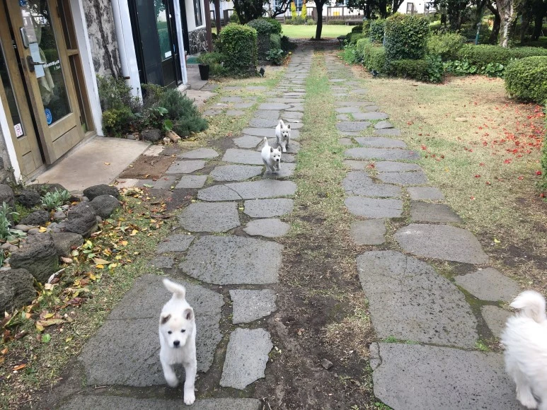 IMG_4402.JPG?type=w773