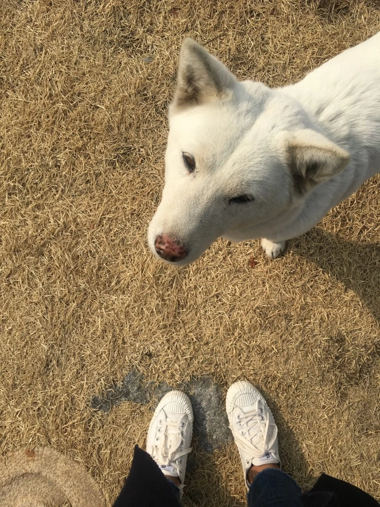 IMG_2939.JPG?type=w773