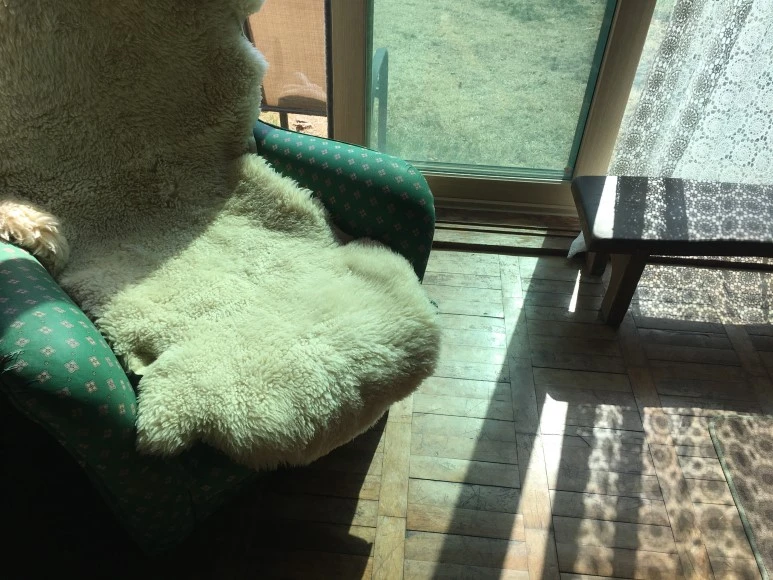 IMG_2814.JPG?type=w773