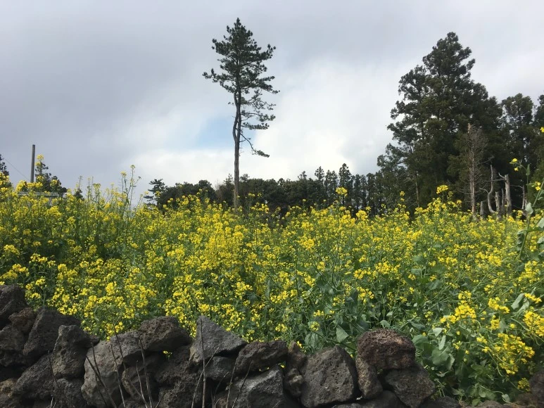 IMG_4379.JPG?type=w773