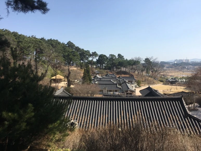 IMG_3073.JPG?type=w773