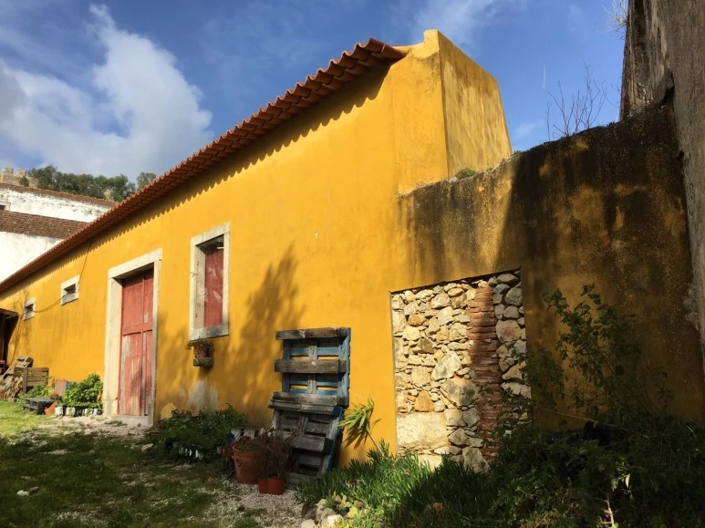 P20190201_110708500_95BBFD23-4B96-47E3-B143-31E703407029.JPG?type=w773