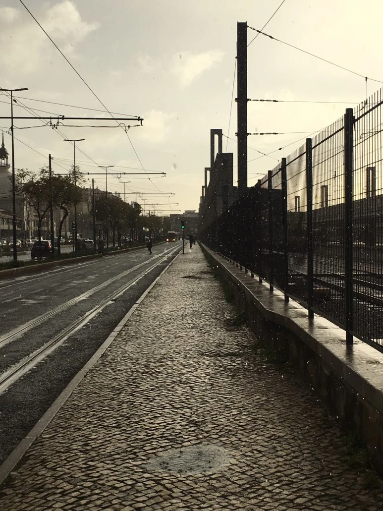 P20190201_083650614_A5C01319-A46D-4938-8215-D6A4780F9043.JPG?type=w773