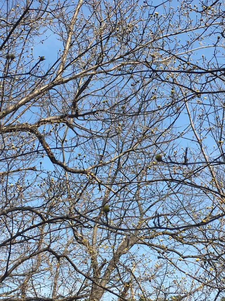 IMG_3087.JPG?type=w773