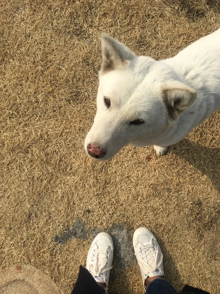 IMG_2938.JPG?type=w773