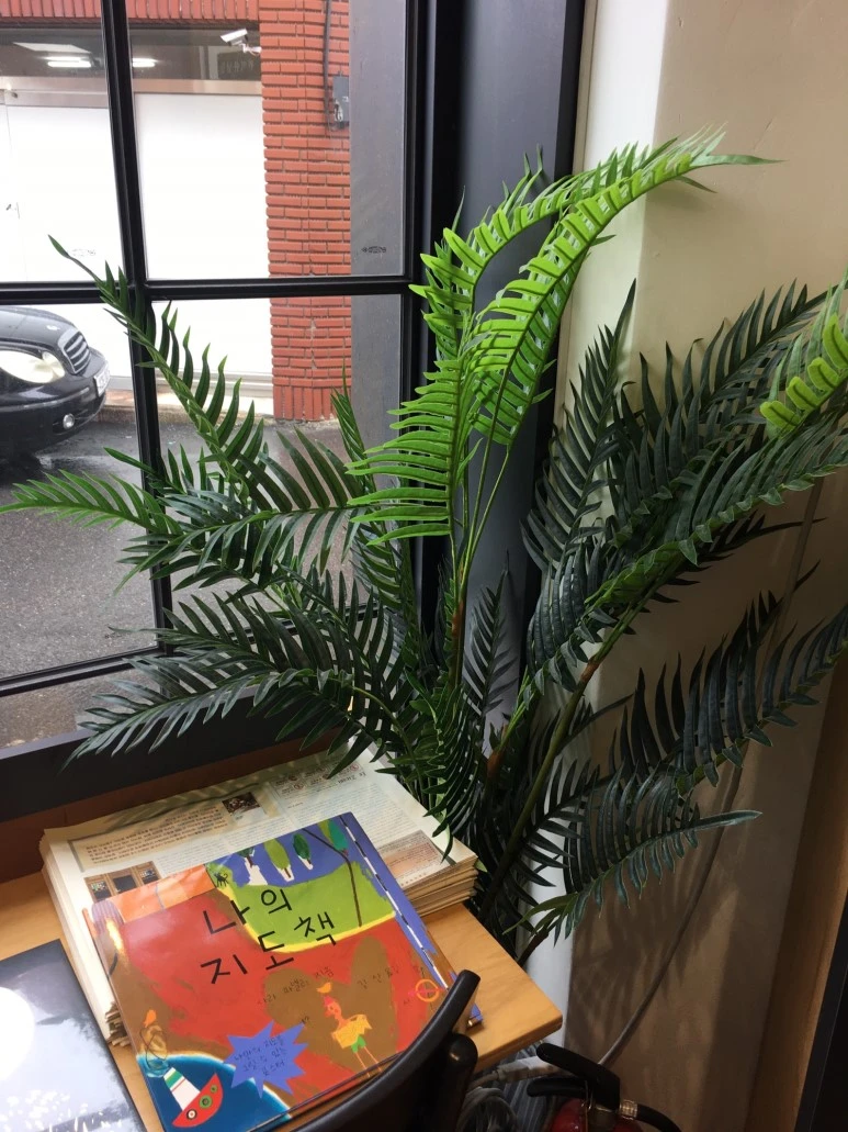 P20180709_144840370_467AAF57-5F77-4259-B491-6E63CB74ACC6.JPG?type=w773