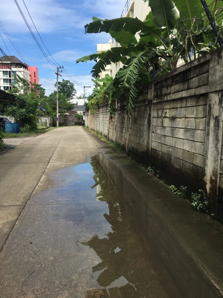 IMG_7083.JPG?type=w773