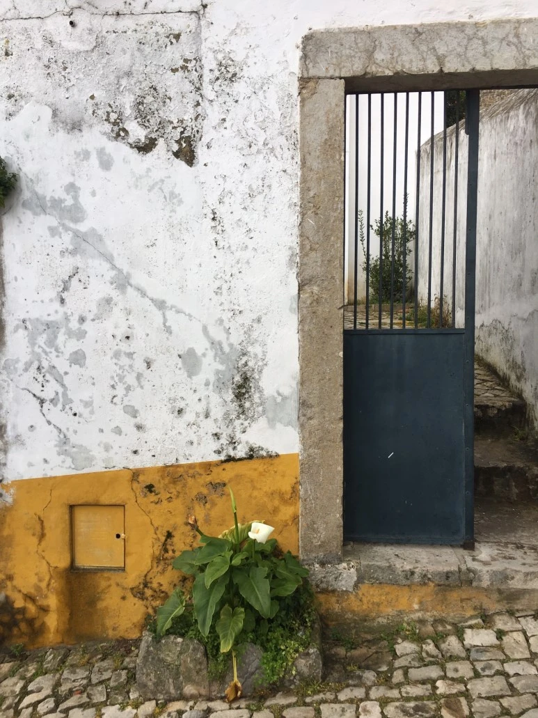 P20190201_121740397_5E2F6E5C-5890-415A-B827-21FEC1FF5A35.JPG?type=w773