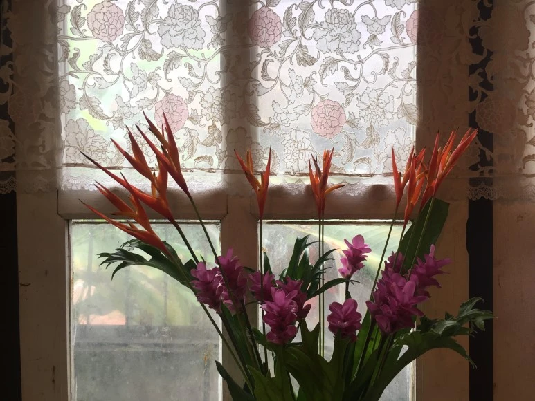 IMG_7141.JPG?type=w773