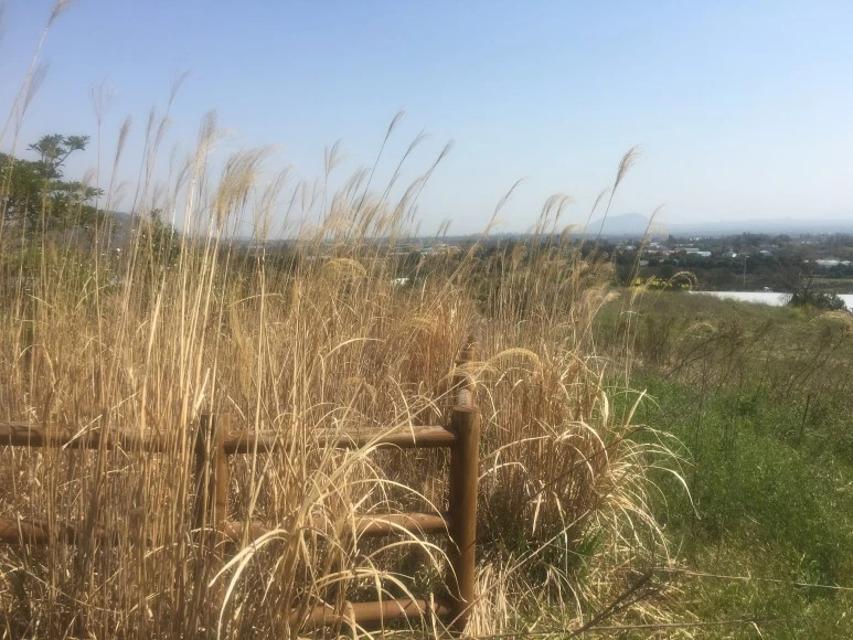 IMG_4731.JPG?type=w773