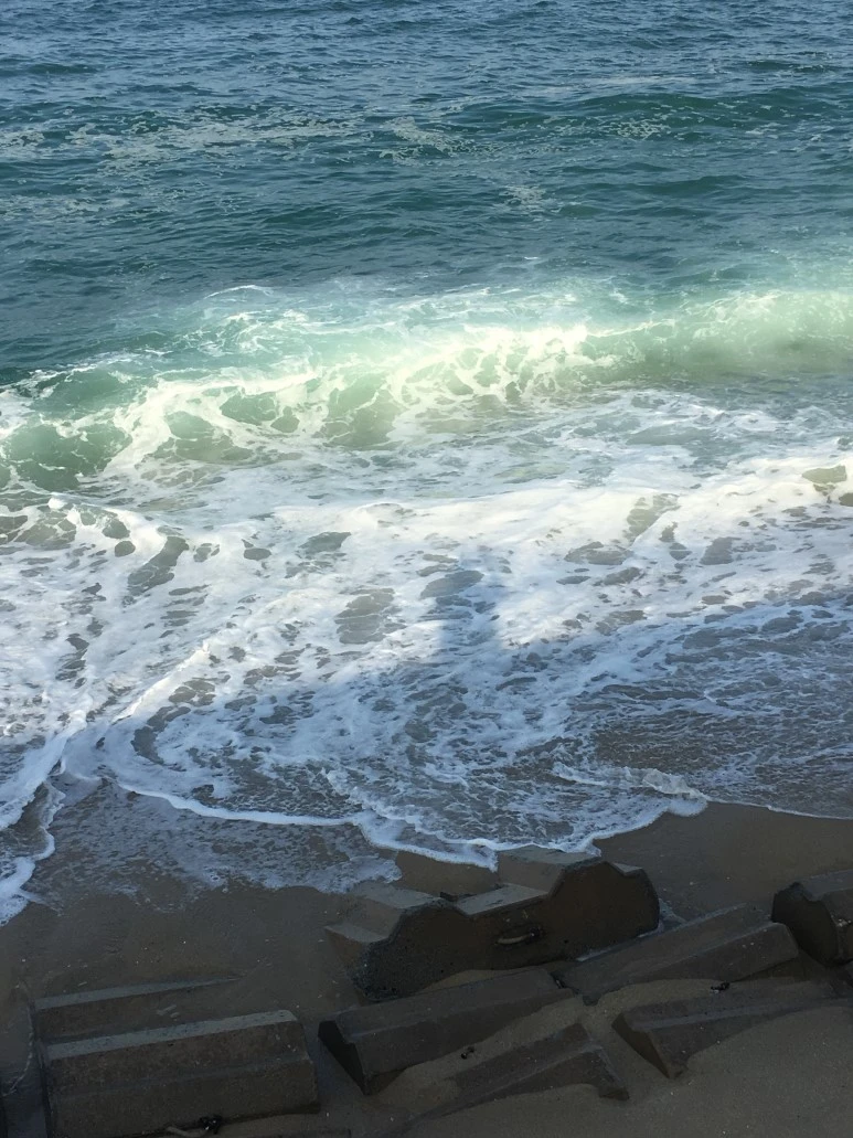 IMG_2924.JPG?type=w773