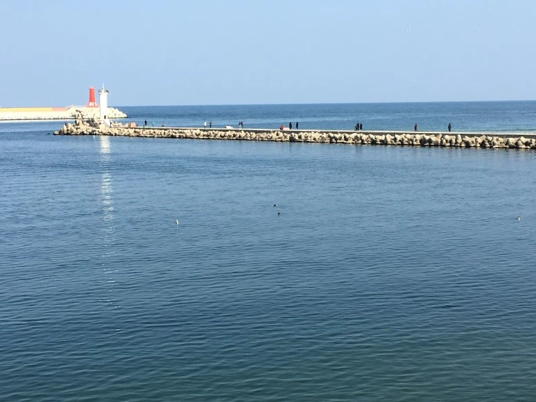 IMG_2883.JPG?type=w773