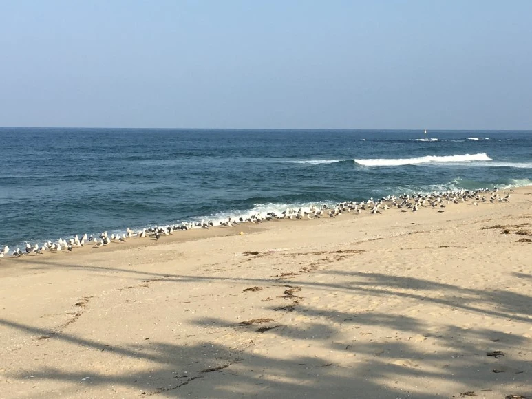 IMG_2925.JPG?type=w773