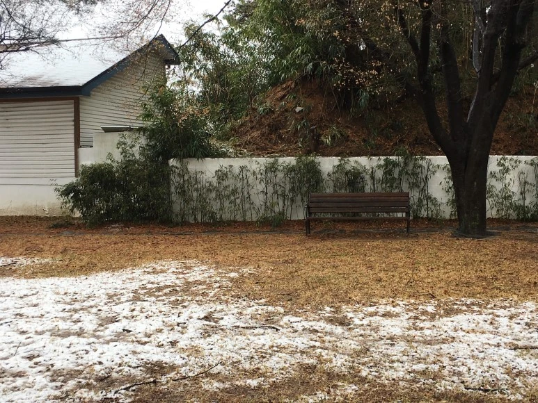 IMG_2522.JPG?type=w773