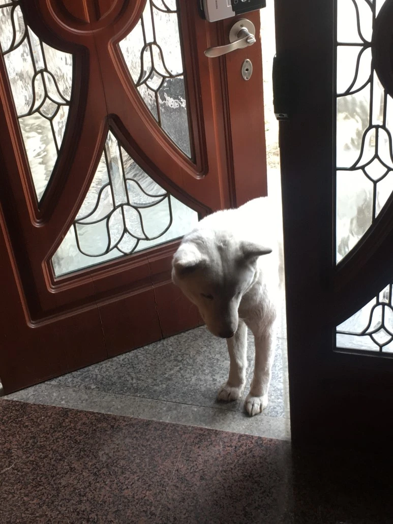 IMG_3240.JPG?type=w773