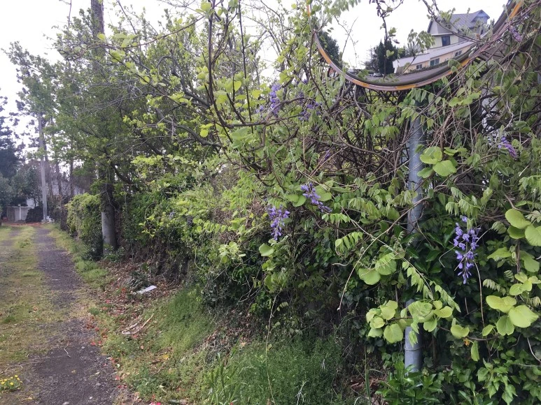 IMG_4383.JPG?type=w773