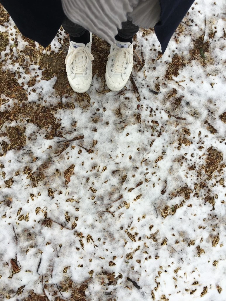 IMG_2514.JPG?type=w773