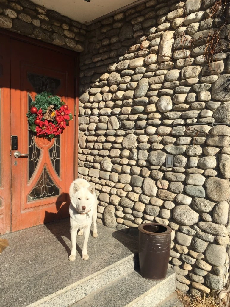 P20180112_104702762_2FBB724B-CABE-4463-9C08-3541C2A7C159.JPG?type=w773