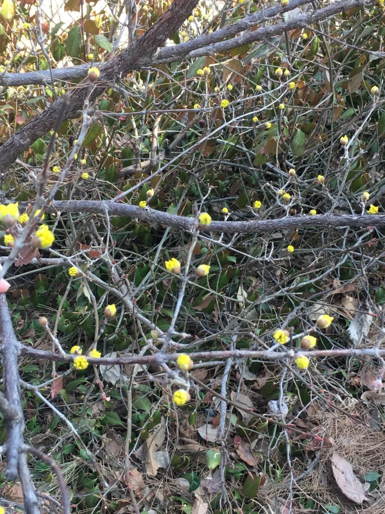 IMG_3089.JPG?type=w773