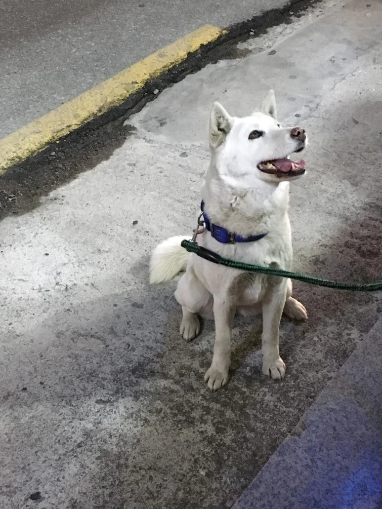 IMG_3222.JPG?type=w773