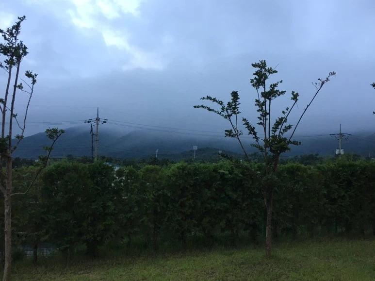 P20180710_193617239_263AA3AB-0F1D-4472-99C3-EE651B8496B8.JPG?type=w773