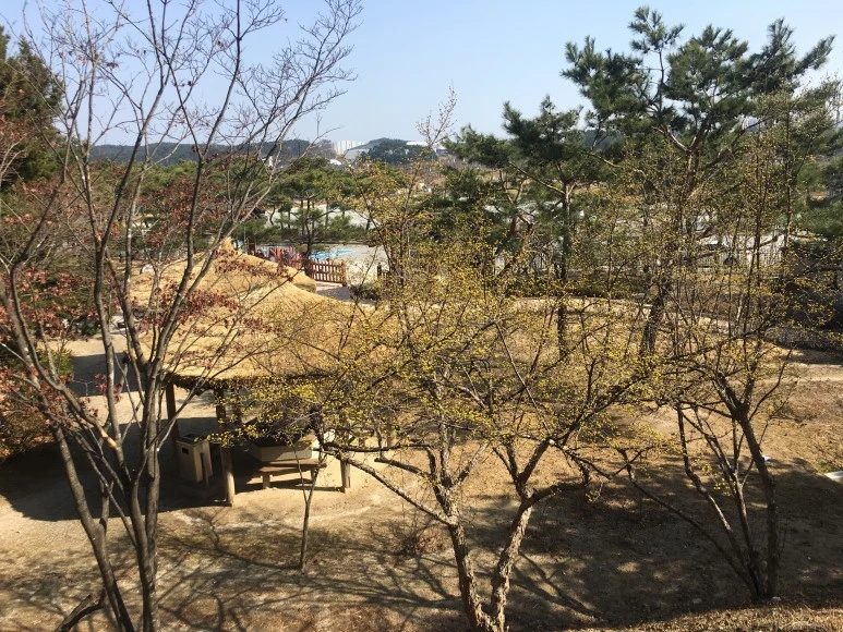 IMG_3099.JPG?type=w773