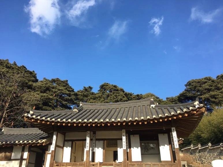 IMG_0554.JPG?type=w773