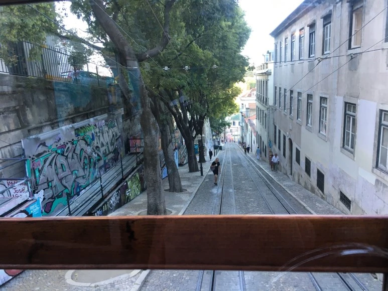 IMG_1089.JPG?type=w773