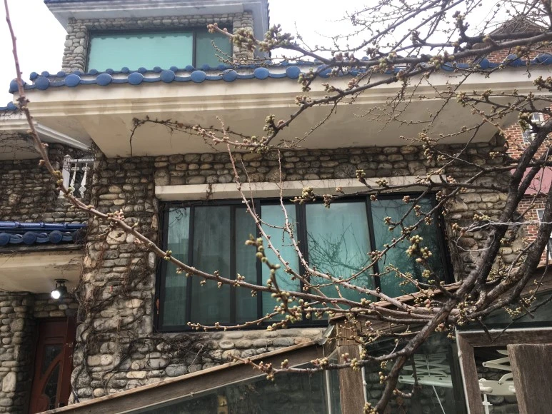 IMG_3234.JPG?type=w773